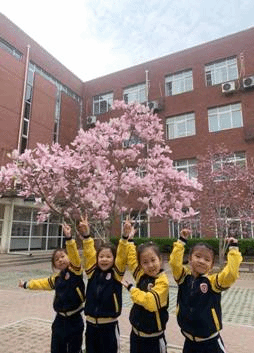 微信图片_2021040116174520
