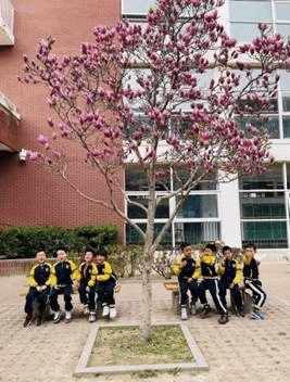 微信图片_202104011613344