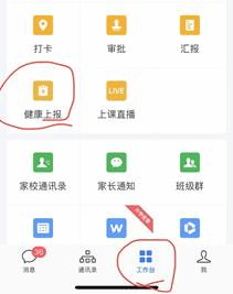 图形用户界面, 应用程序描述已自动生成