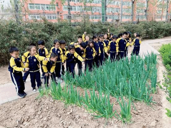 微信图片_2021040116133417